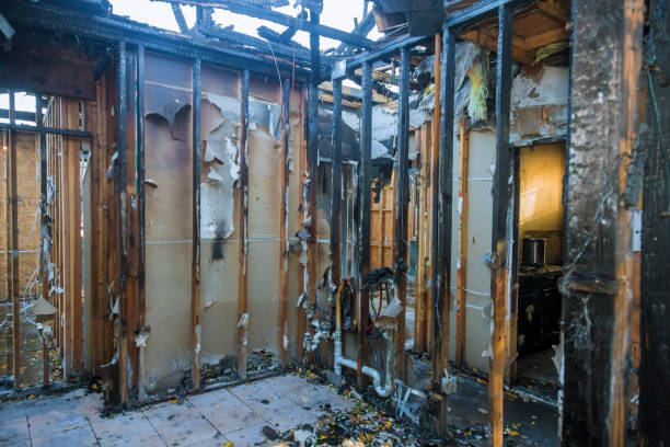 Professional Fire Damage Removal technician working in Des Peres, MO
